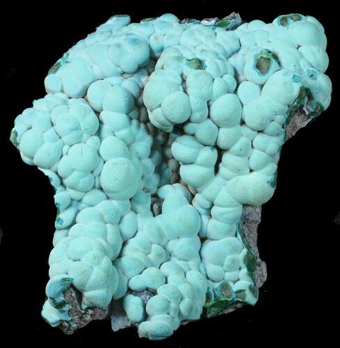 Turquoise Chrysocolla on Malachite - Congo #45281